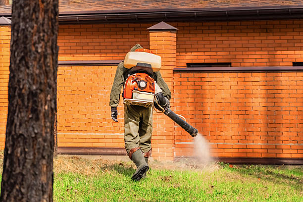 Top rated local Cockroach Control specialists in The Village, OK